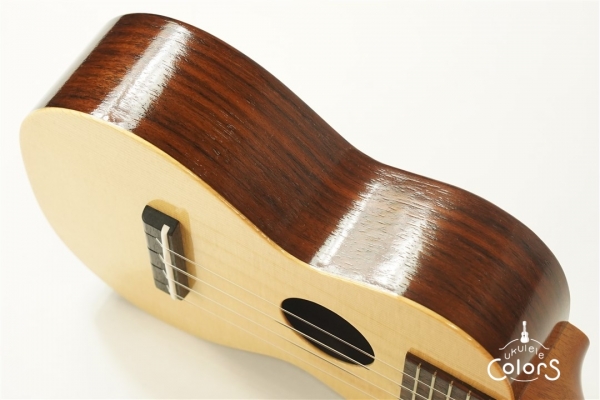 ECO-S - Spruce Top / Rosewood Side&Back